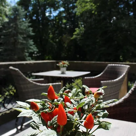 فندق Stecklenberg ثال