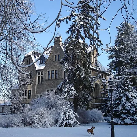Stecklenberg ターレ