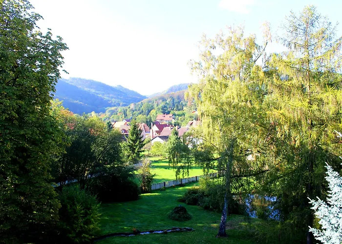 Hotel Stecklenberg 3*